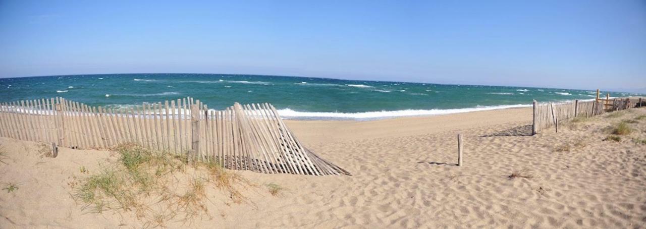 Maison Jardin Wifi - Climatisation - 100 M Plage Sauvage - 20 Min Perpignan Торрей Экстерьер фото